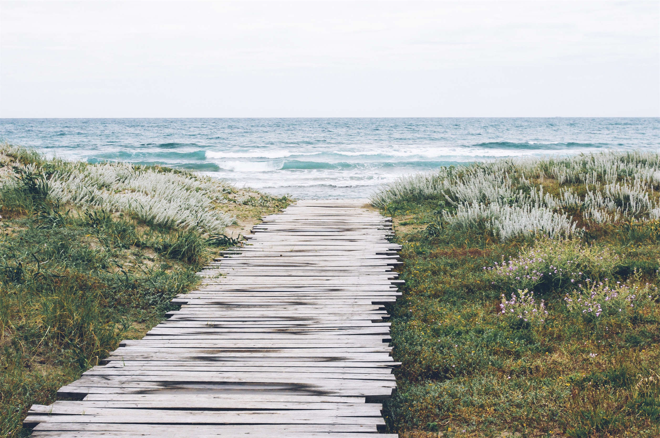 Blog article b